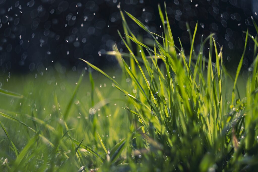 Graszoden leggen bij regen