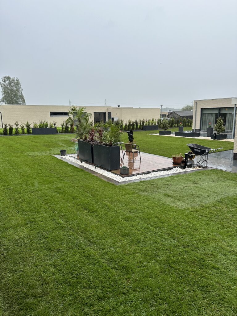 image00008
